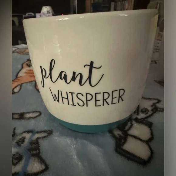 Set of three flower pots - Picture 8 of 9